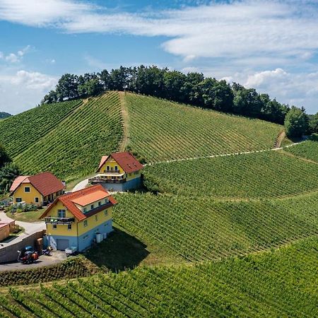 Weingut-Gaestehaus Birnstingl Гамлиц Екстериор снимка