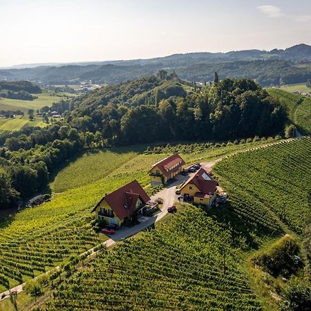 Weingut-Gaestehaus Birnstingl Гамлиц Екстериор снимка