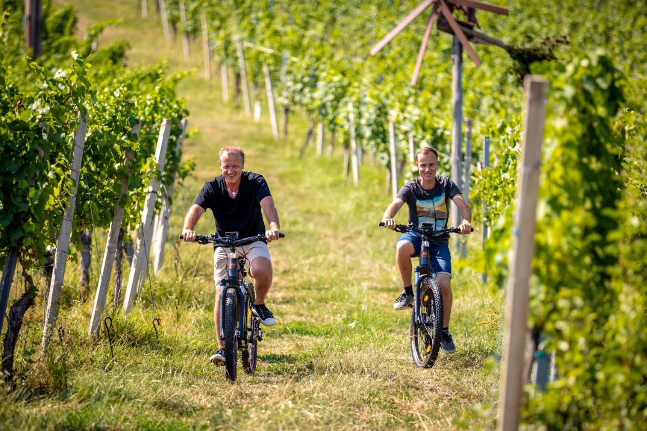 Weingut-Gaestehaus Birnstingl Гамлиц Екстериор снимка