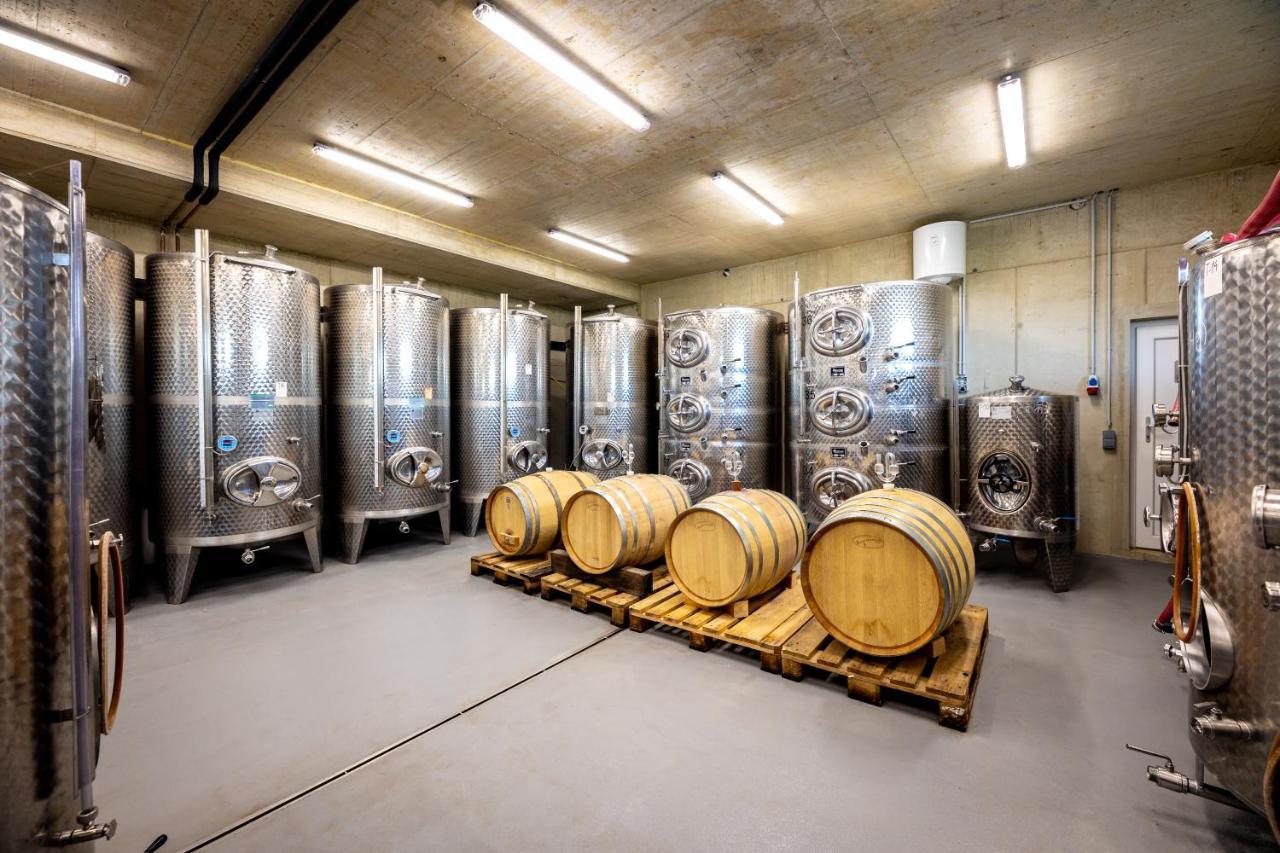 Weingut-Gaestehaus Birnstingl Гамлиц Екстериор снимка