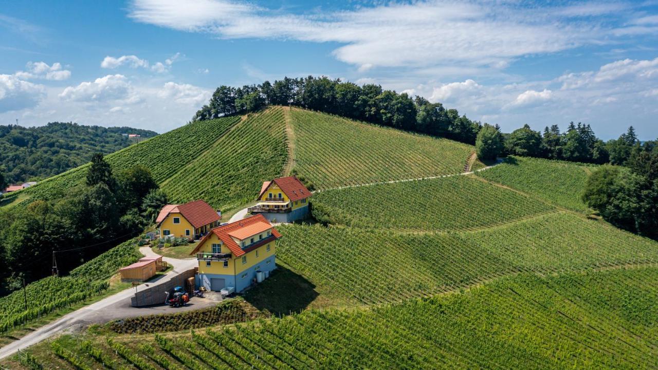 Weingut-Gaestehaus Birnstingl Гамлиц Екстериор снимка
