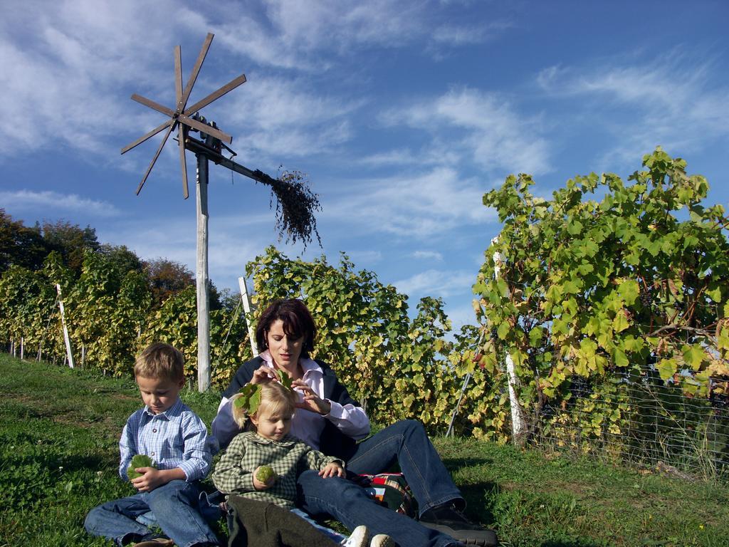 Weingut-Gaestehaus Birnstingl Гамлиц Екстериор снимка